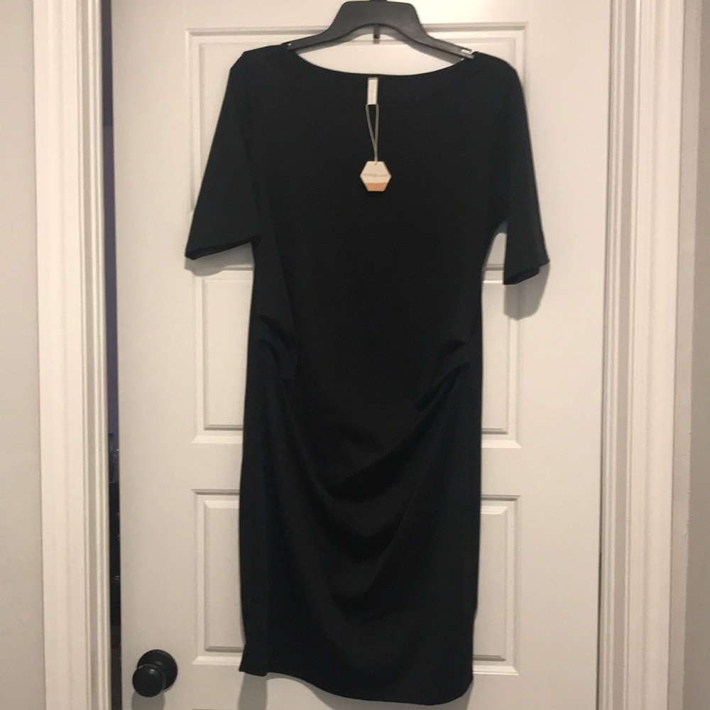 NWT PinkBlush Maternity Dress